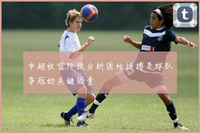 中超收官阶段分析团结拼搏是球队争冠的关键因素