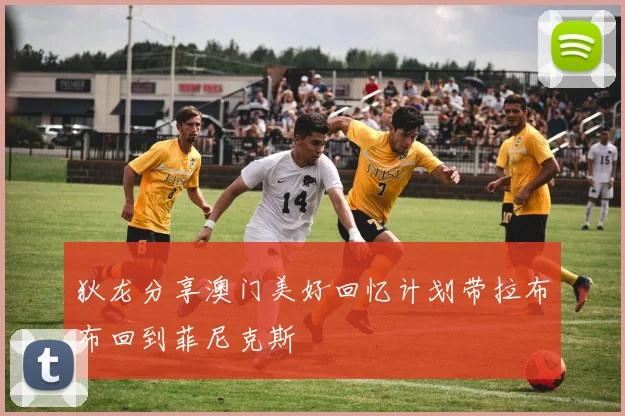 狄龙分享澳门美好回忆计划带拉布布回到菲尼克斯