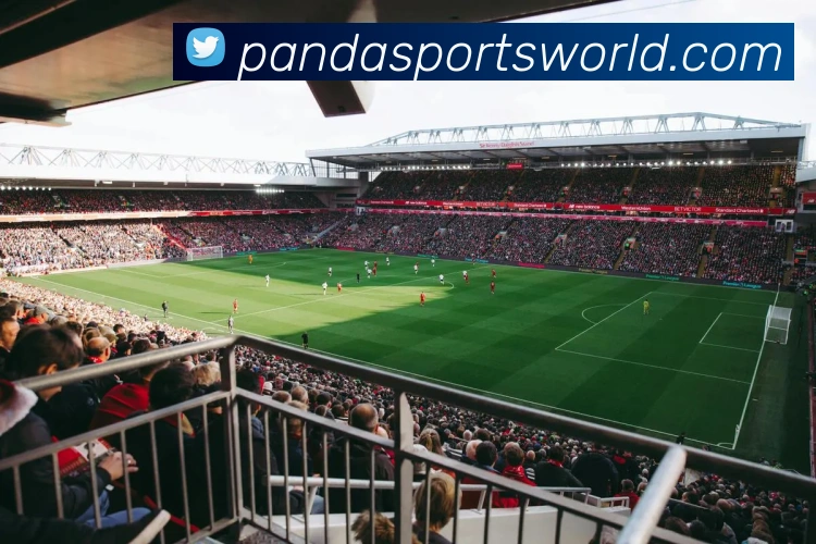 熊猫体育发展历程